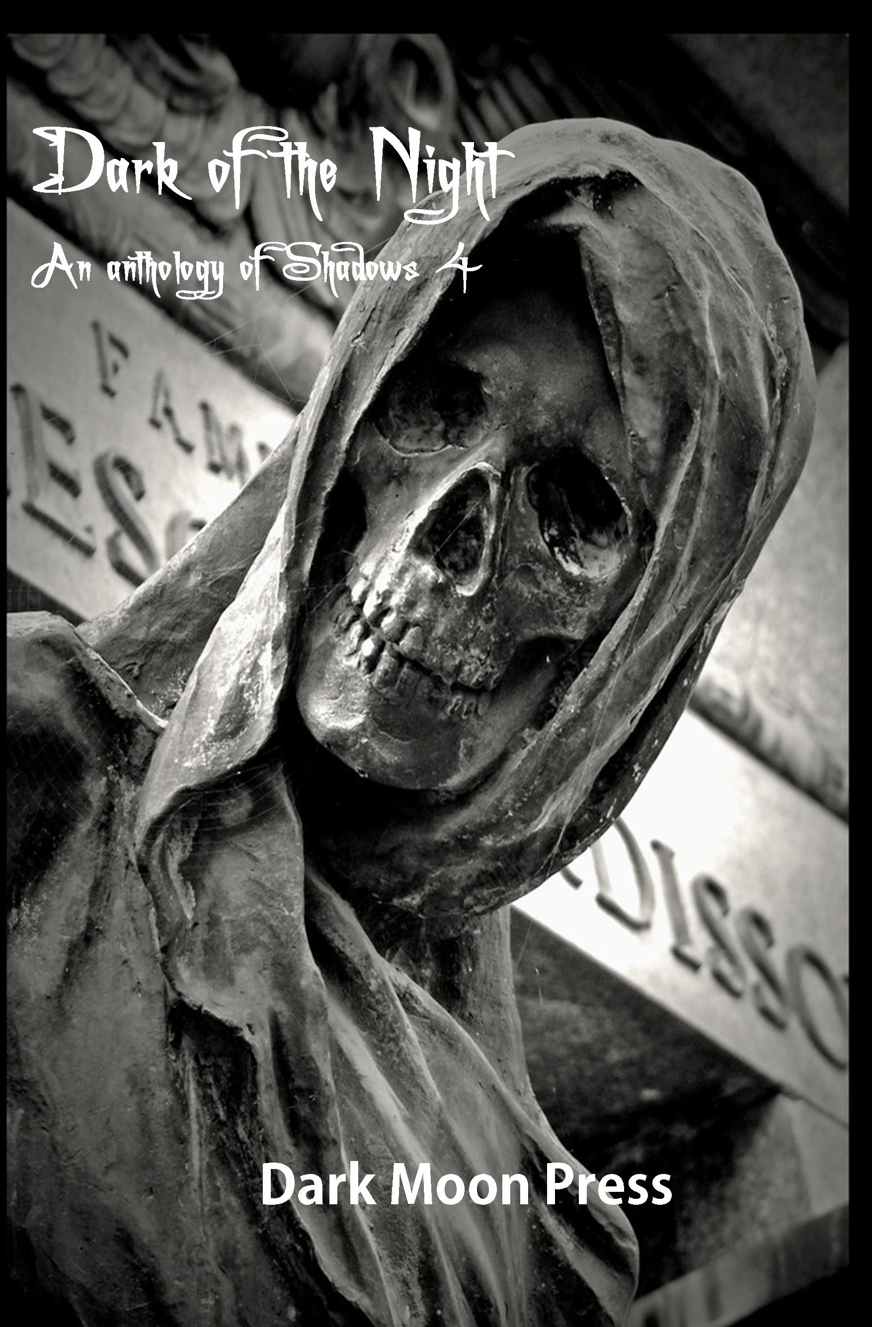 Dark of the Night 4 full cover